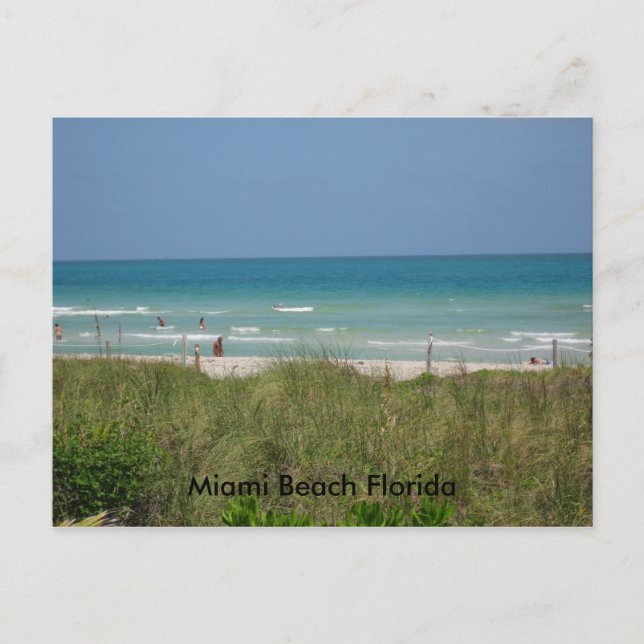Miami Beach Florida Vykort (Framsida)