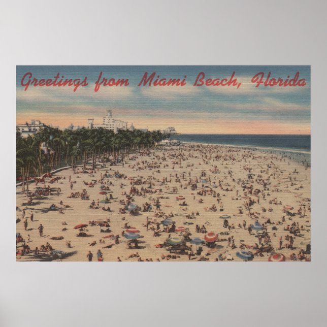 Miami Beach, FloridaGreetings from Miami, FL Poster (Framsidan)
