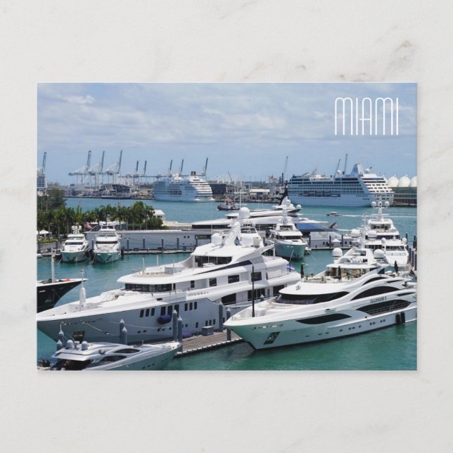 Miami Big Yachts-vykort Vykort (Framsida)