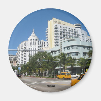 Miami Cityscape-kylmagnet Magnet