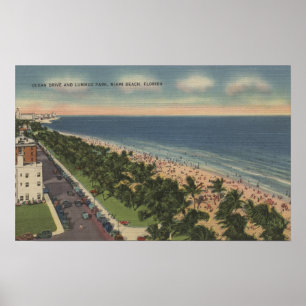 Miami FL - havdrev och Lummus parkerar Poster