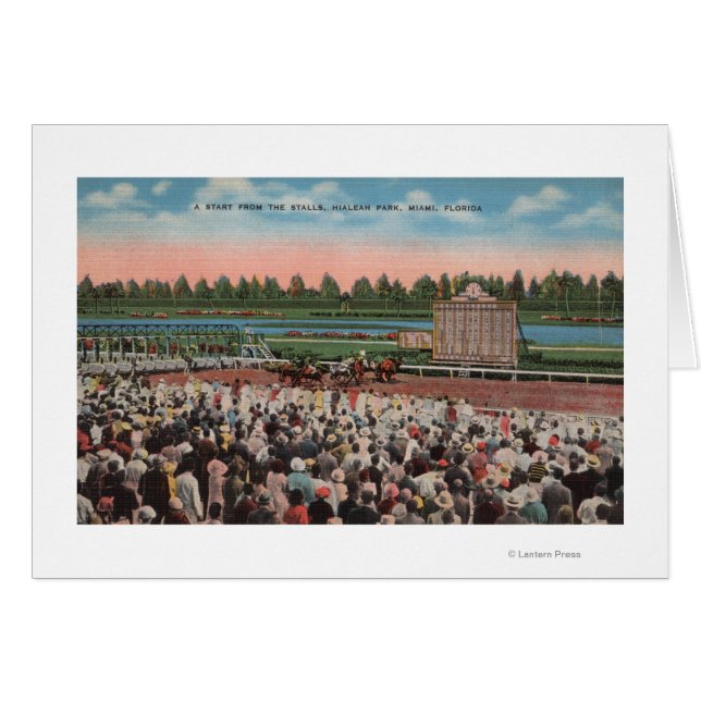 Miami, FL - View Hialeah Park with Horse Hälsningskort (Framsidan Horizontal)