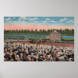 Miami, FL - View Hialeah Park with Horse Poster