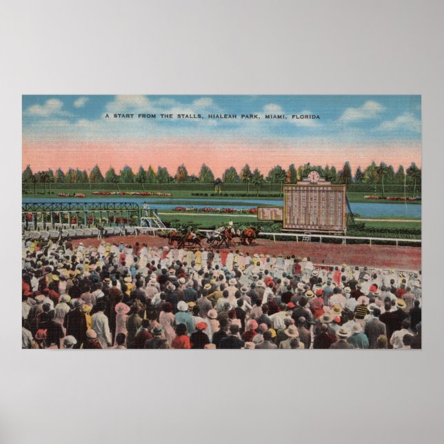 Miami, FL - View Hialeah Park with Horse Poster (Framsidan)