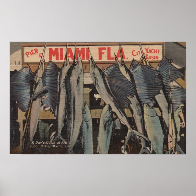 Miami, FL - View Pier 5 City Yacht Klubb w/ Poster (Framsidan)