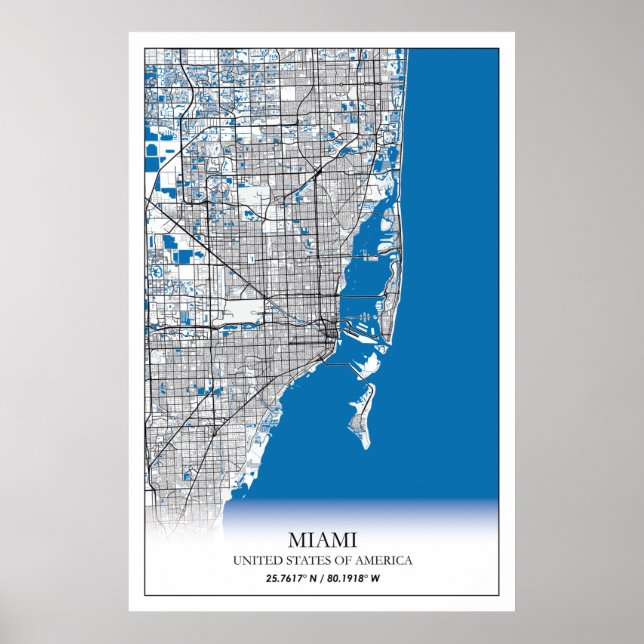 Miami Florida FL United Stater USA Travel City Kar Poster (Framsidan)