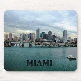 Miami Florida horisont Musmatta