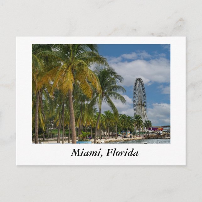 Miami Florida och Biscayne Bay Vykort (Framsida)