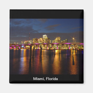 Miami Florida Skyline vid Night Magnet