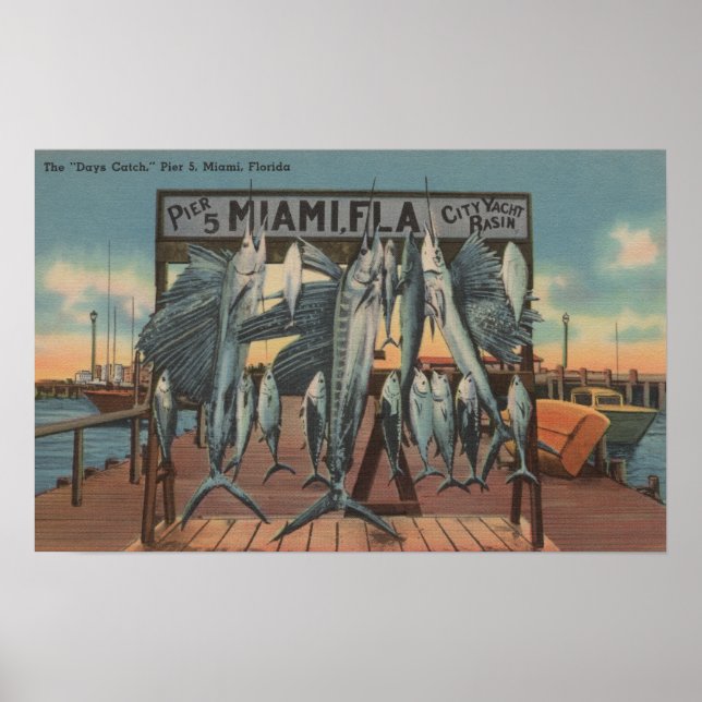 Miami, Florida - View Pier 5 med Caught Fish Poster (Framsidan)