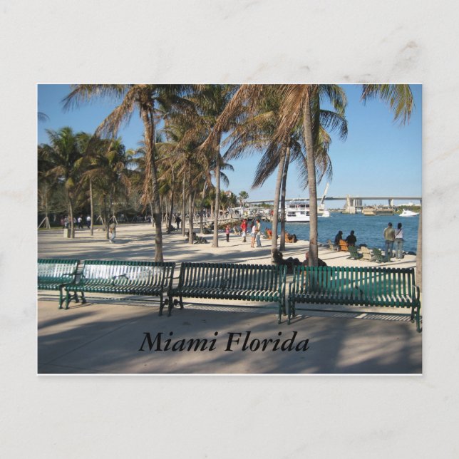 Miami Florida Vykort (Framsida)