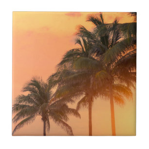 Miami handflatan kakelplatta