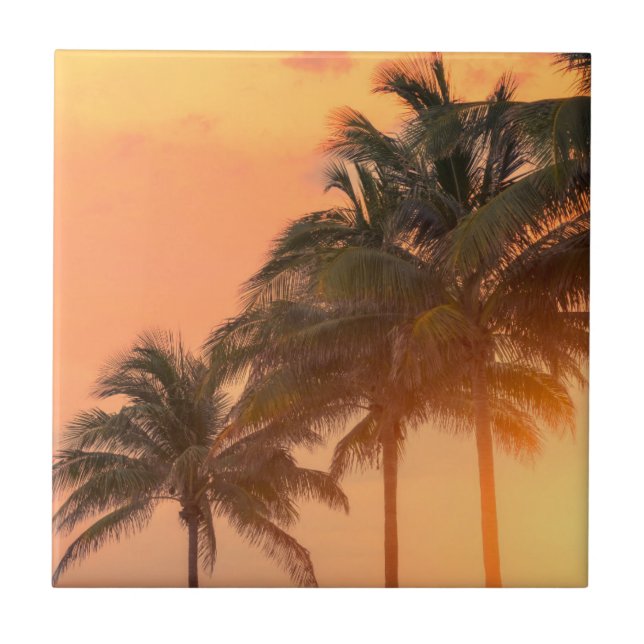 Miami handflatan kakelplatta (Framsidan)