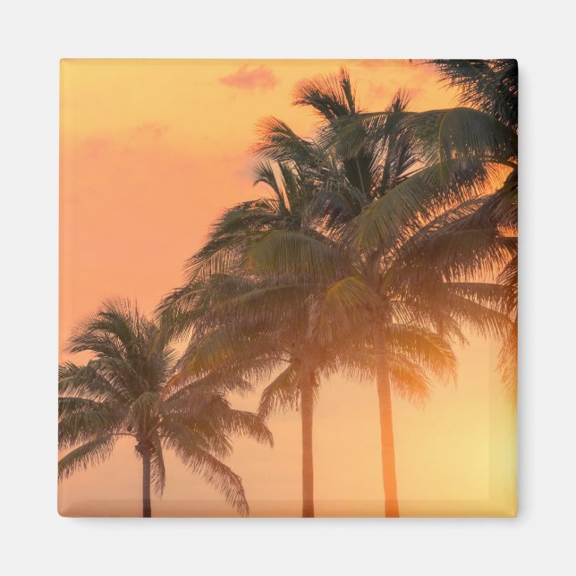 Miami Handflatan Magnet (Framsidan)