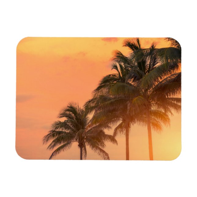 Miami Handflatan Magnet (Horisontell)