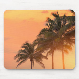 Miami handflatan musmatta