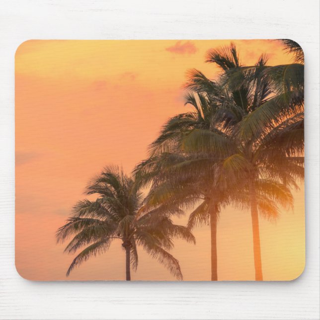 Miami handflatan musmatta (Framsidan)