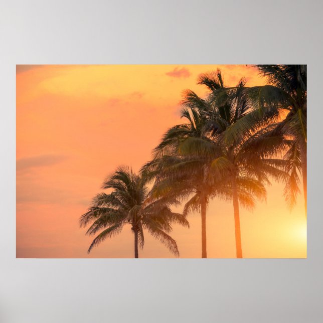 Miami Handflatan Poster (Framsidan)