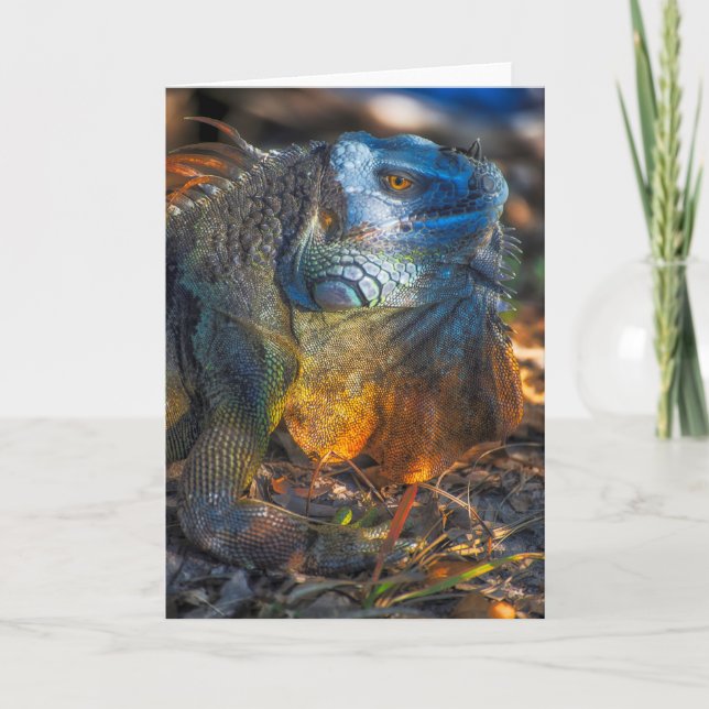 Miami Iguana Greeting Card Kort (Framsida)