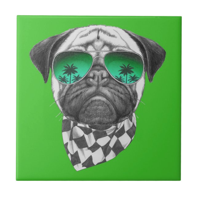 Miami mops kakelplatta (Framsidan)