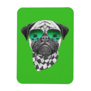Miami mops magnet