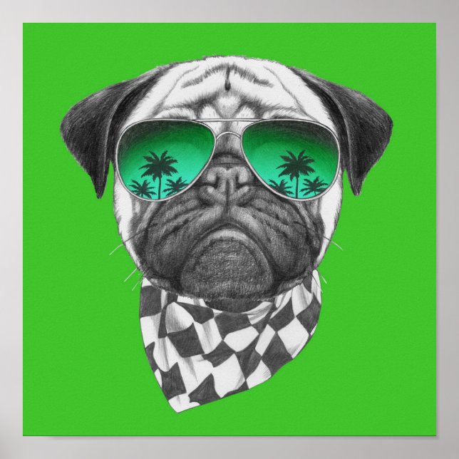 Miami Pug Poster (Framsidan)
