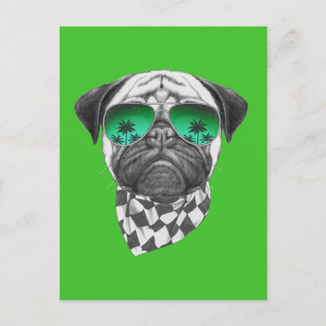 Miami Pug Vykort (Framsida)