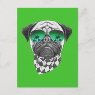 Miami Pug Vykort