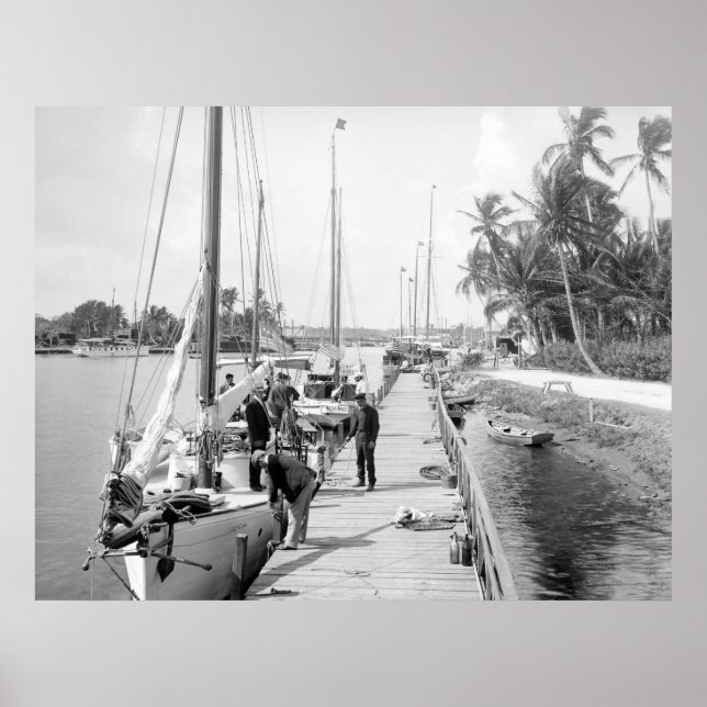 Miami Sailboat, 1905 Poster (Framsidan)