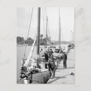 Miami Sailboat, 1905 Vykort