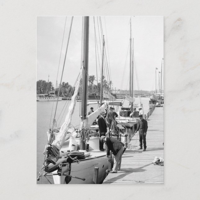 Miami Sailboat, 1905 Vykort (Framsida)
