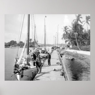Miami Segelbåt, 1905 Poster