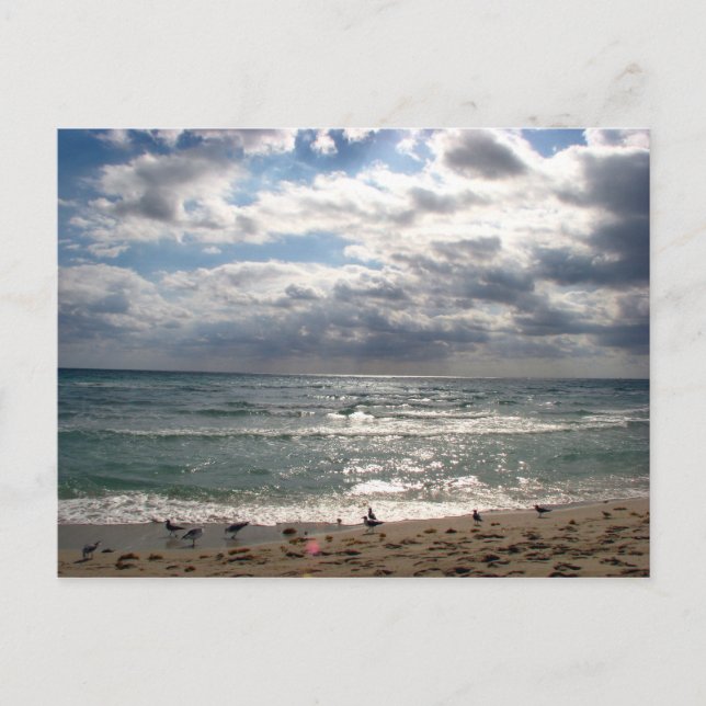 Miami Series Vykort (Framsida)