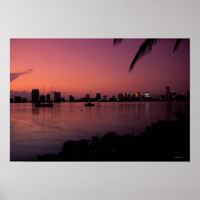 Miami Skyline vid Sunset Poster (Framsidan)