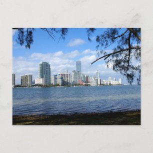 Miami Skyline Vykort