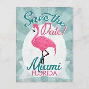 Miami Spara Datum Rosa Flamingo Meddelande Vykort