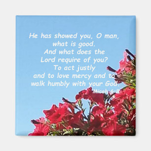 Micah 6:8 magnet