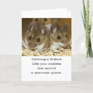 Mice Friends Birthday Kort