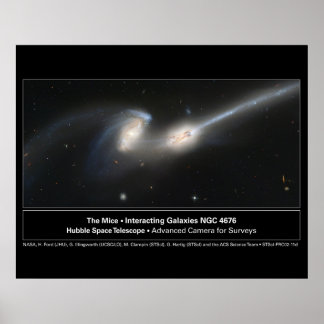 Mice Hubble Telescope Photo Poster