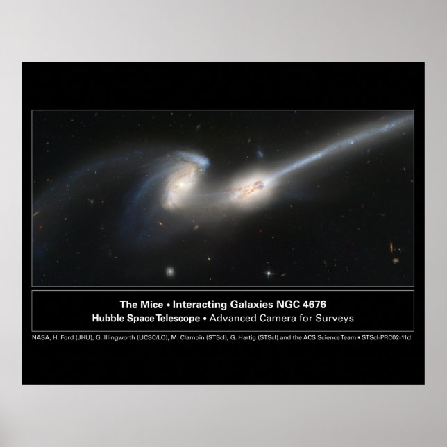 Mice Hubble Telescope Photo Poster (Framsidan)