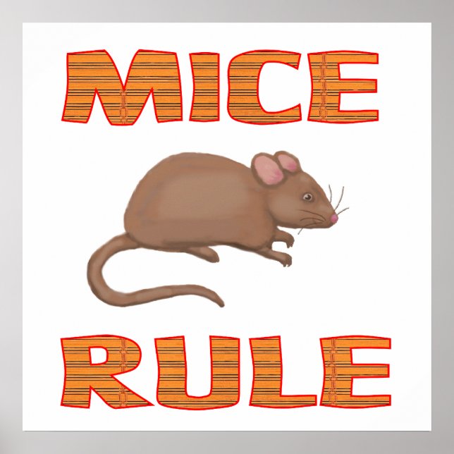 MICE-REGEL Poster (Framsidan)