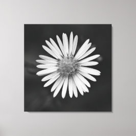 Michaelmas Aster Blomma Canvastryck
