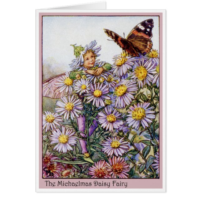 Michaelmas Daisy Fairy Hälsningskort (Framsidan)