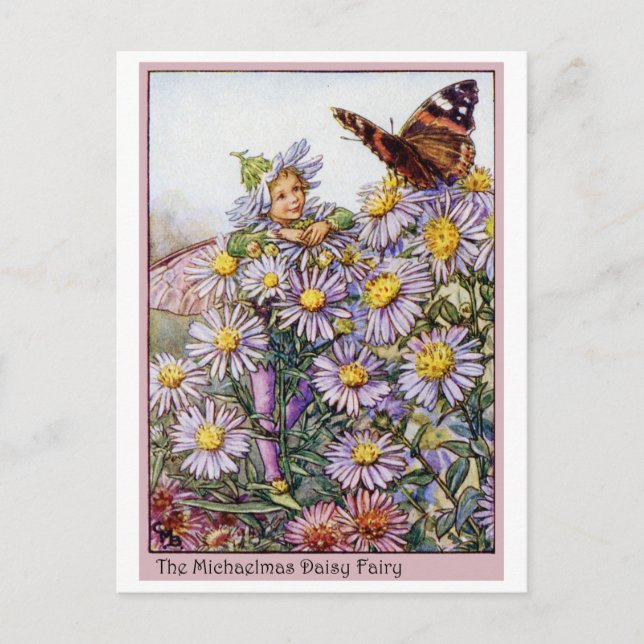 Michaelmas Daisy Fairy Vykort (Framsida)