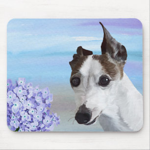 Miche Italie Greyhound Musmatta