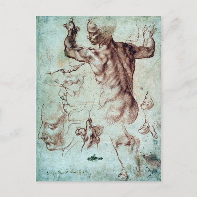 Michelangelo Buonarroti Studies for Libyan Sibyl Vykort (Framsida)