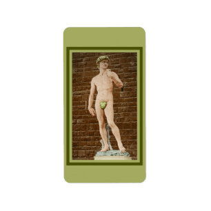 MICHELANGELO DAVID MED FIG LÖV ADRESSETIKETT