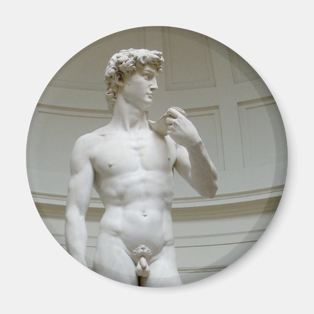 Michelangelo Renaissance Art Magnet (Framsidan)