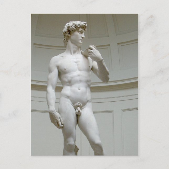 Michelangelo Renaissance Art Vykort (Framsida)