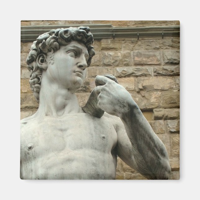 Michelangelos David 1 Magnet (Framsidan)